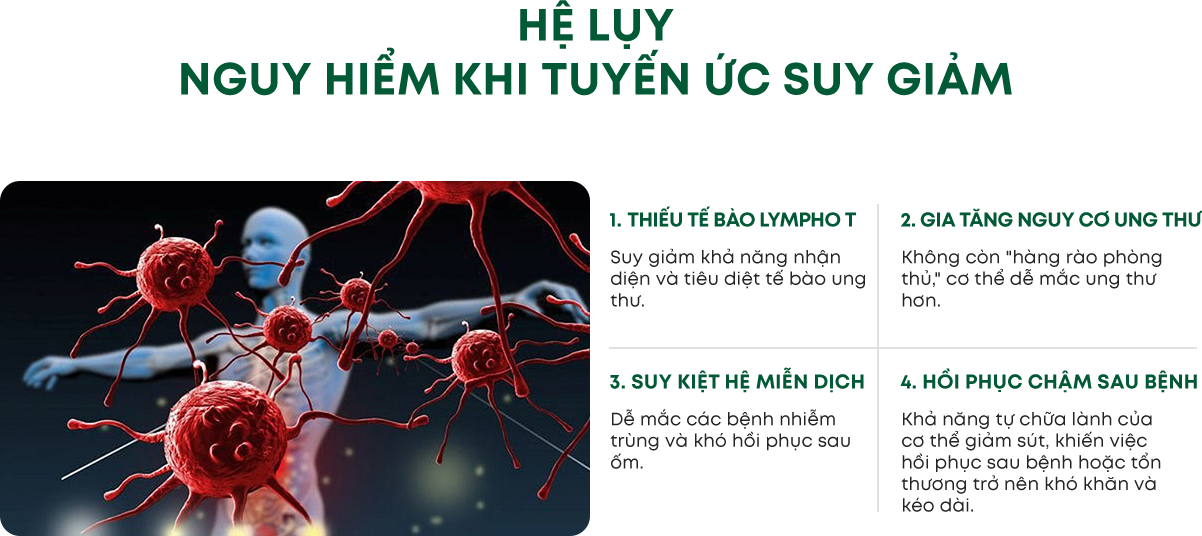 Infographic 2