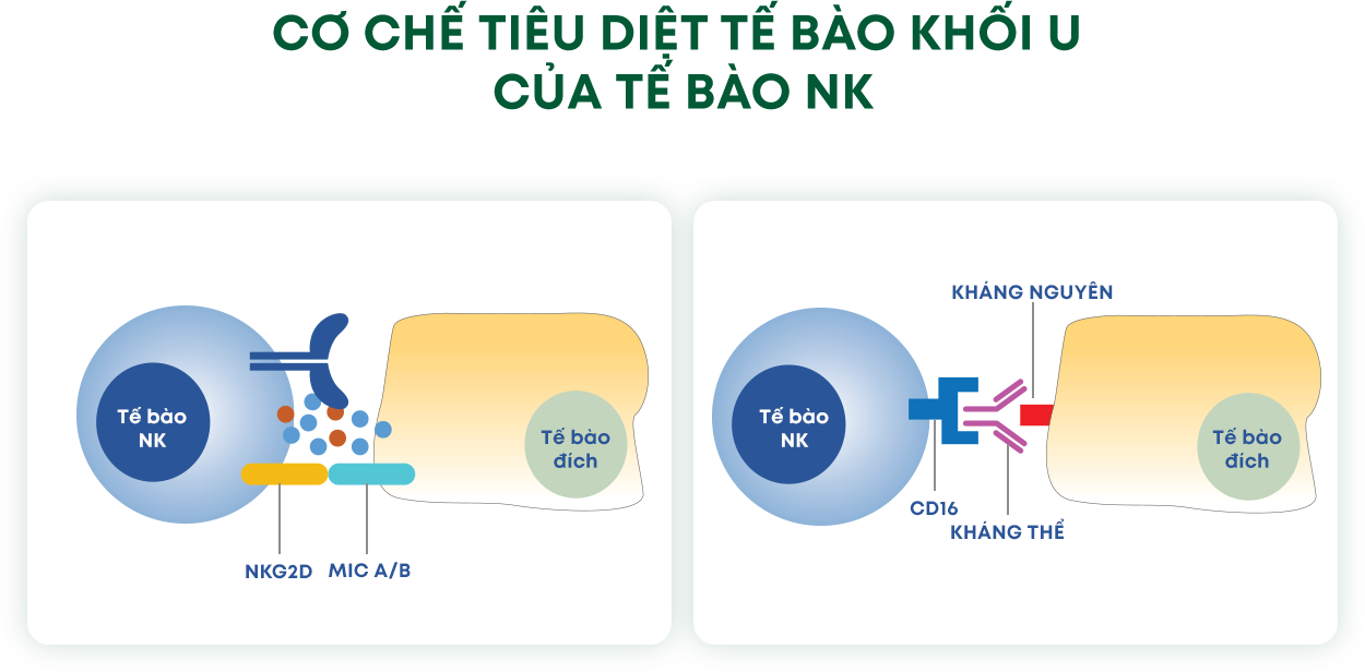 Infographic 6