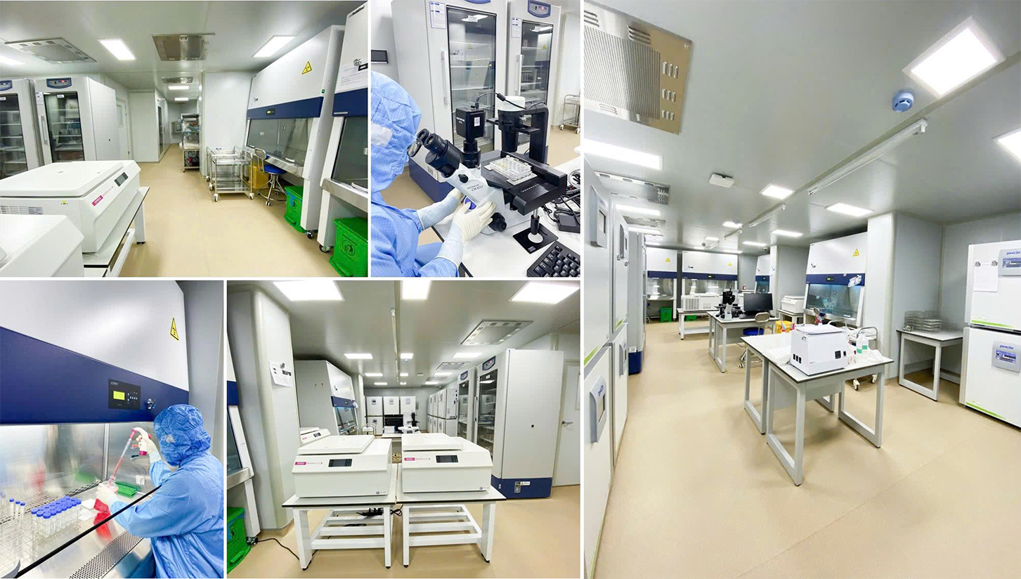 Phòng lab y học tái tạo SETA